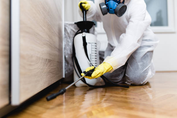 Pest Control for Restaurants in Aumsville, OR