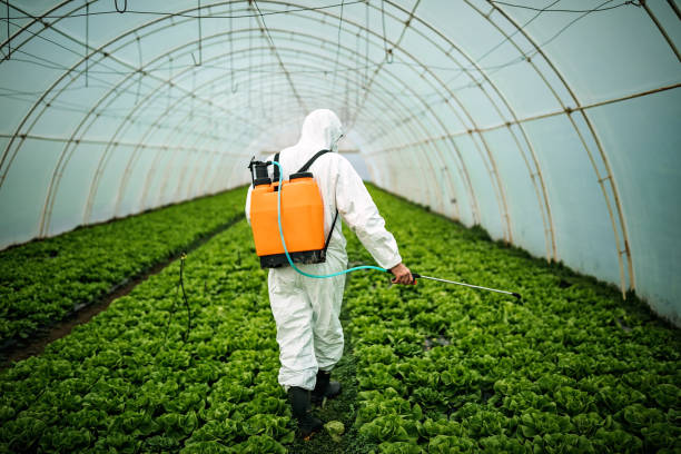 Best Best Pest Control Companies  in Aumsville, OR
