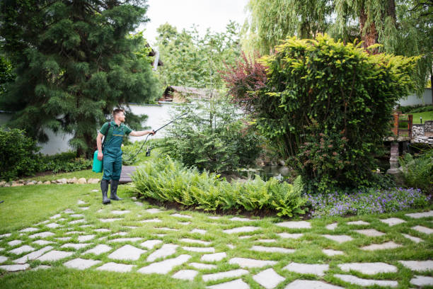 Best Spider Control Near Me  in Aumsville, OR