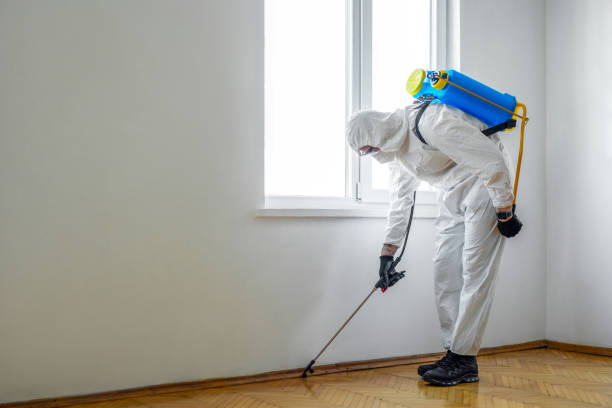 Best Best Pest Control Companies  in Aumsville, OR