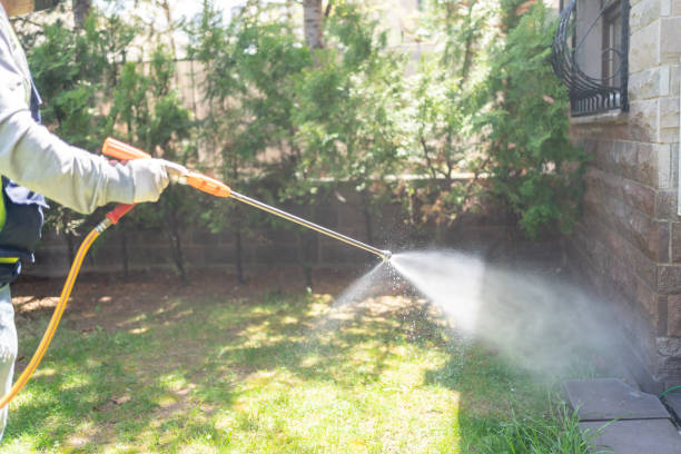 Professional Pest Control in Aumsville, OR