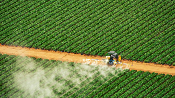 Best Pest Control for Businesses  in Aumsville, OR