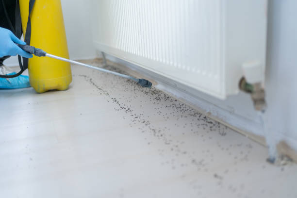 Pest Control Cost in Aumsville, OR