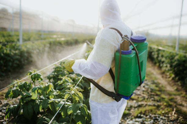 Best Emergency Pest Control  in Aumsville, OR